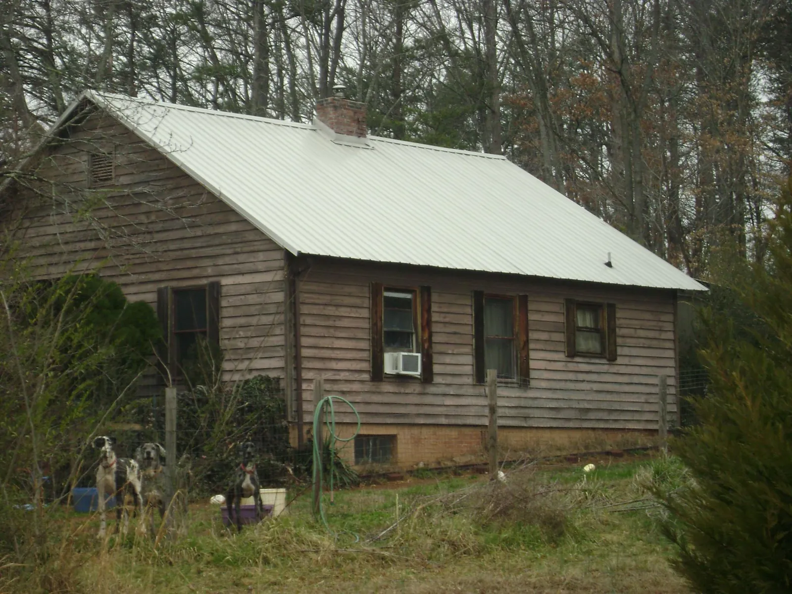 White metal roof on an old wood sided farmhouse, from a Asphalt Shingle Roof Repair job in Cedar Falls